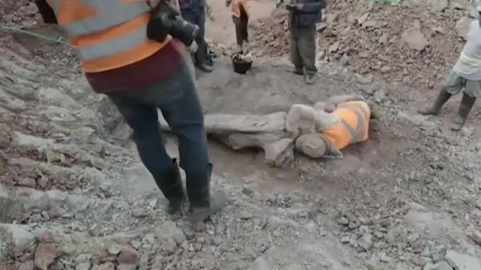 Un grupo de paleontólogos descubre en Brasil una nueva especie de dinosaurio