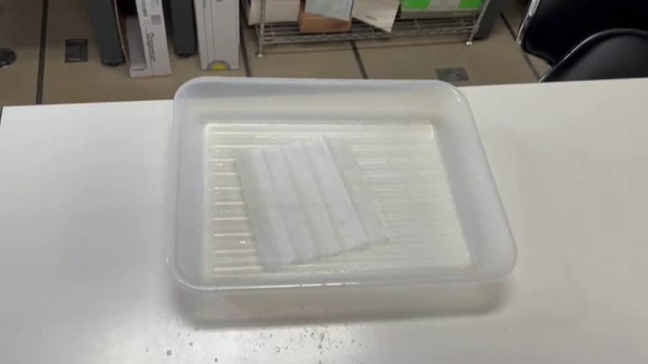 Un nuevo test detecta el covid en las mascarillas utilizando los anticuerpos del avestruz