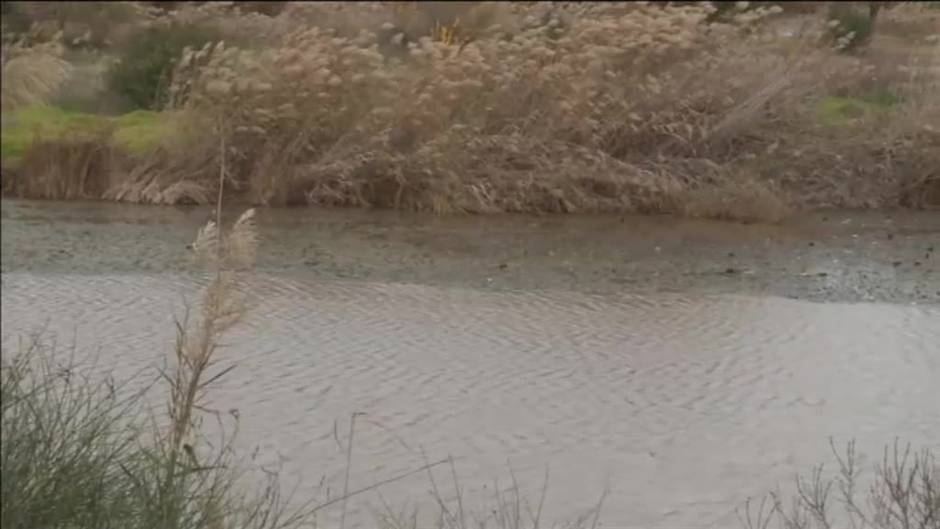 La policía toma declaración a los amigos de Pablo para reconstruir sus pasos después del hallazgo de sangre en el móvil