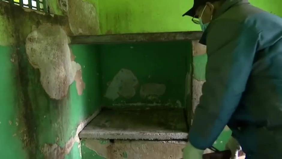 China protege del invierno al 'mono de la hoja" con calefactores en sus jaulas