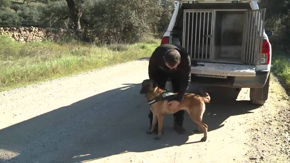 Guardia Civil busca a un hombre desaparecido en Oliva de la Frontera