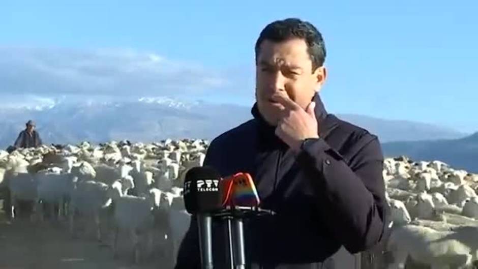 Juanma Moreno pide a Sánchez que solicite a la UE una prórroga de las ayudas Covid al sector ganadero y una tarifa especial para el consumo de energía