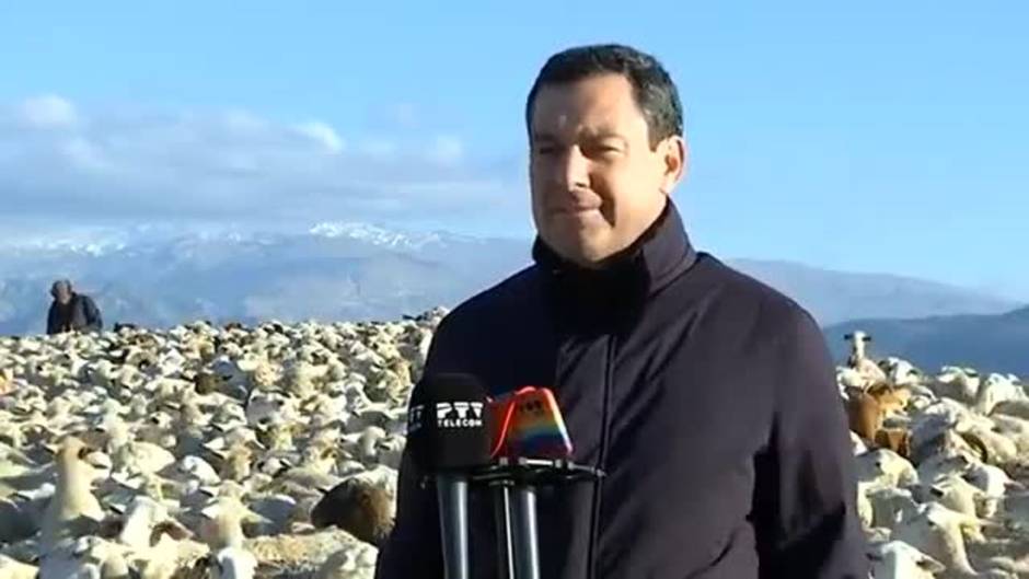 Juanma Moreno responde a Garzón: «Un ministro no puede erosionar la Marca España»