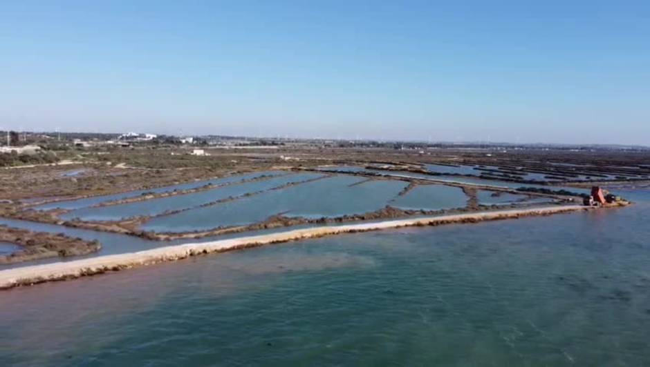 Así es el proyecto de recuperación de la Salina de Balbanera en Puerto Real