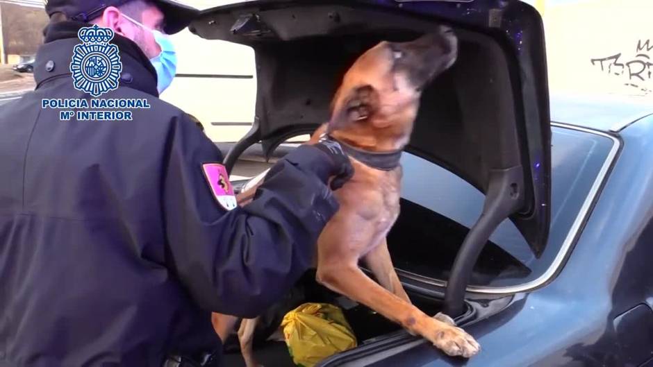 750 identificados y un detenido en una redada en la Cañada Real (Madrid)