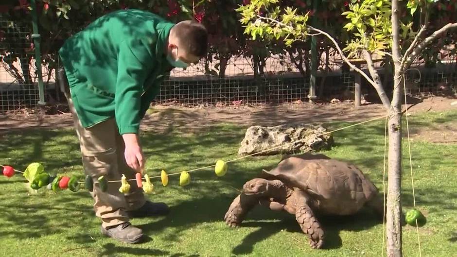 Diversión y aprendizaje en el mundo animal para esta Semana Santa