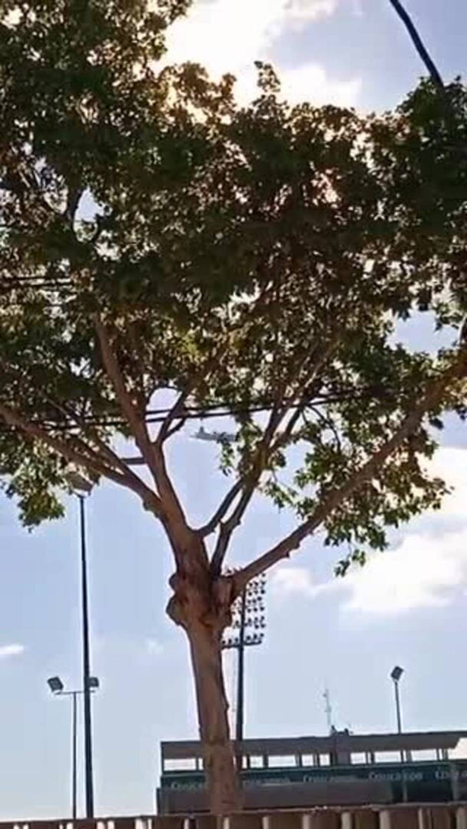 Alerta por el vuelo bajo de un avión militar en Córdoba