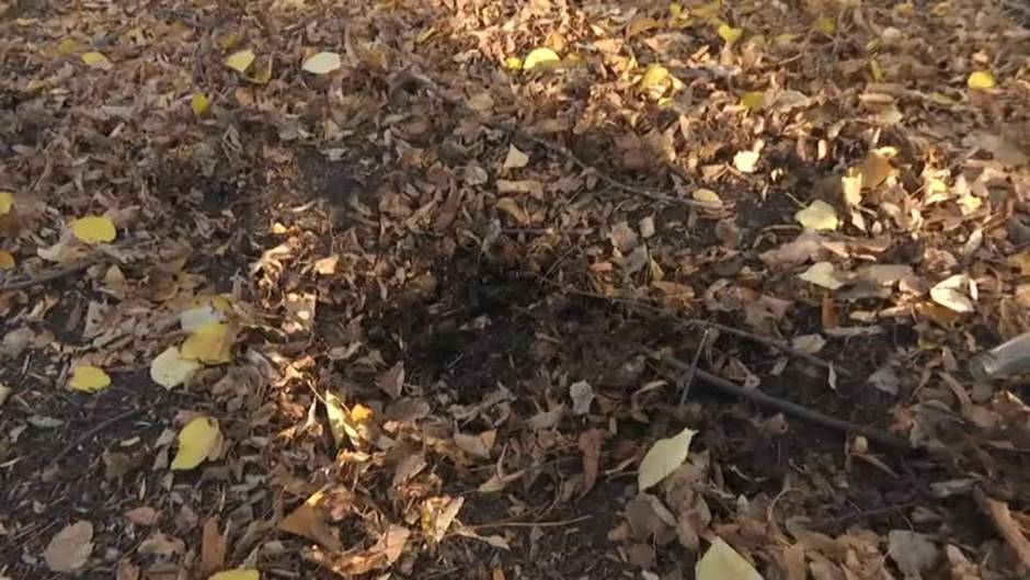 Celebran su boda en un hospital de Ucrania