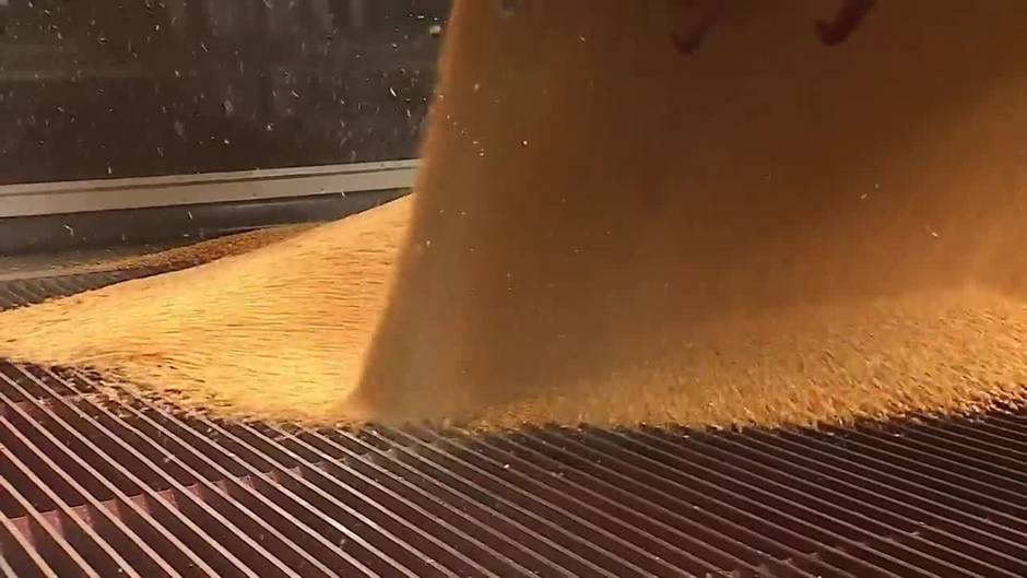 El G7 pide a Rusia que desbloquee las exportaciones de grano de Ucrania