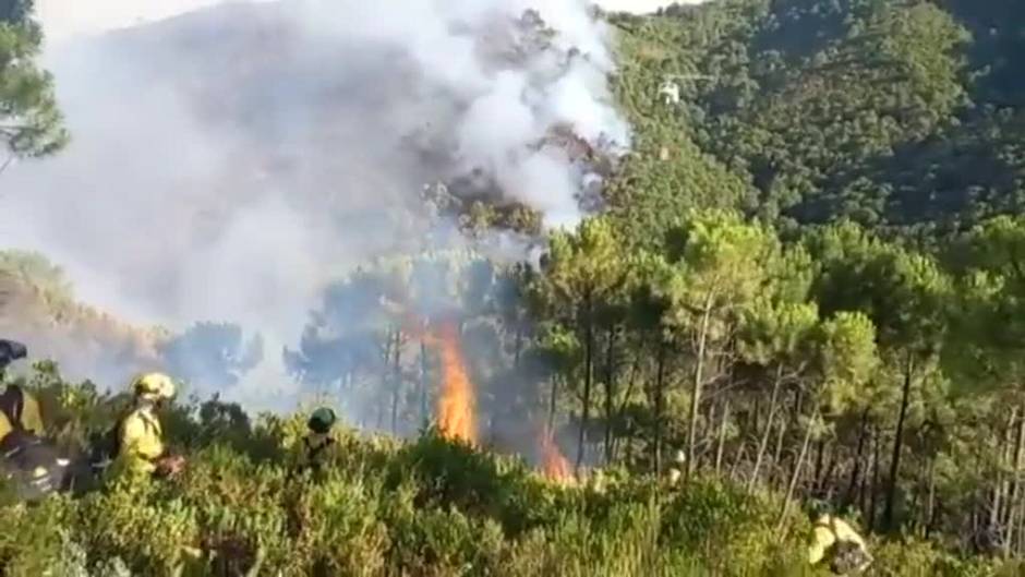 El fuego no da tregua en Málaga