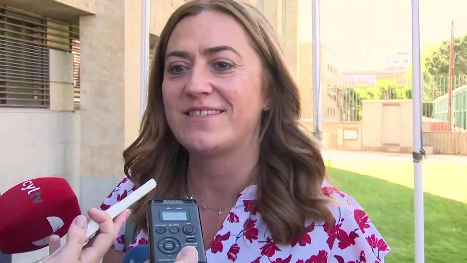 Comités de Siro viajan a Madrid para reunirse con Industria ante una nueva oferta del grupo inversor