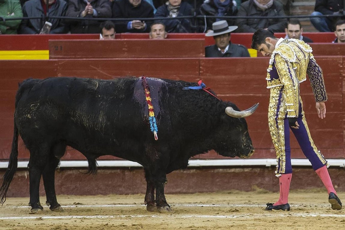 El año mágico de Talavante