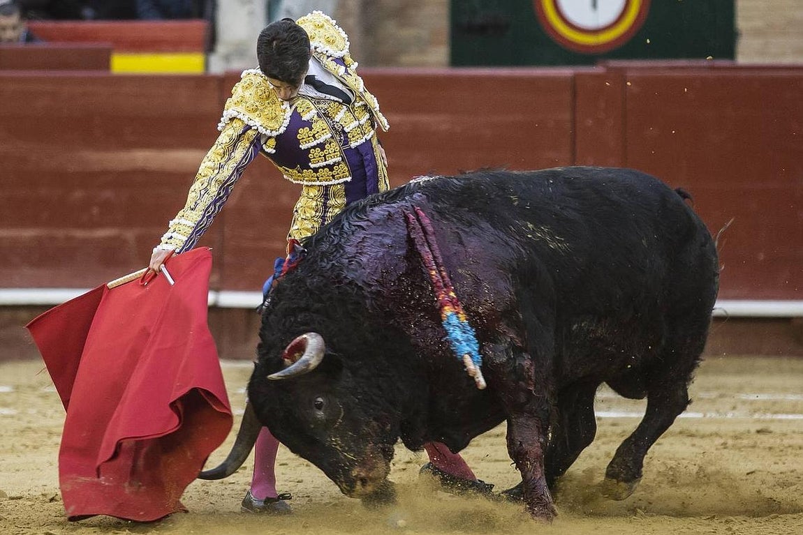 El año mágico de Talavante