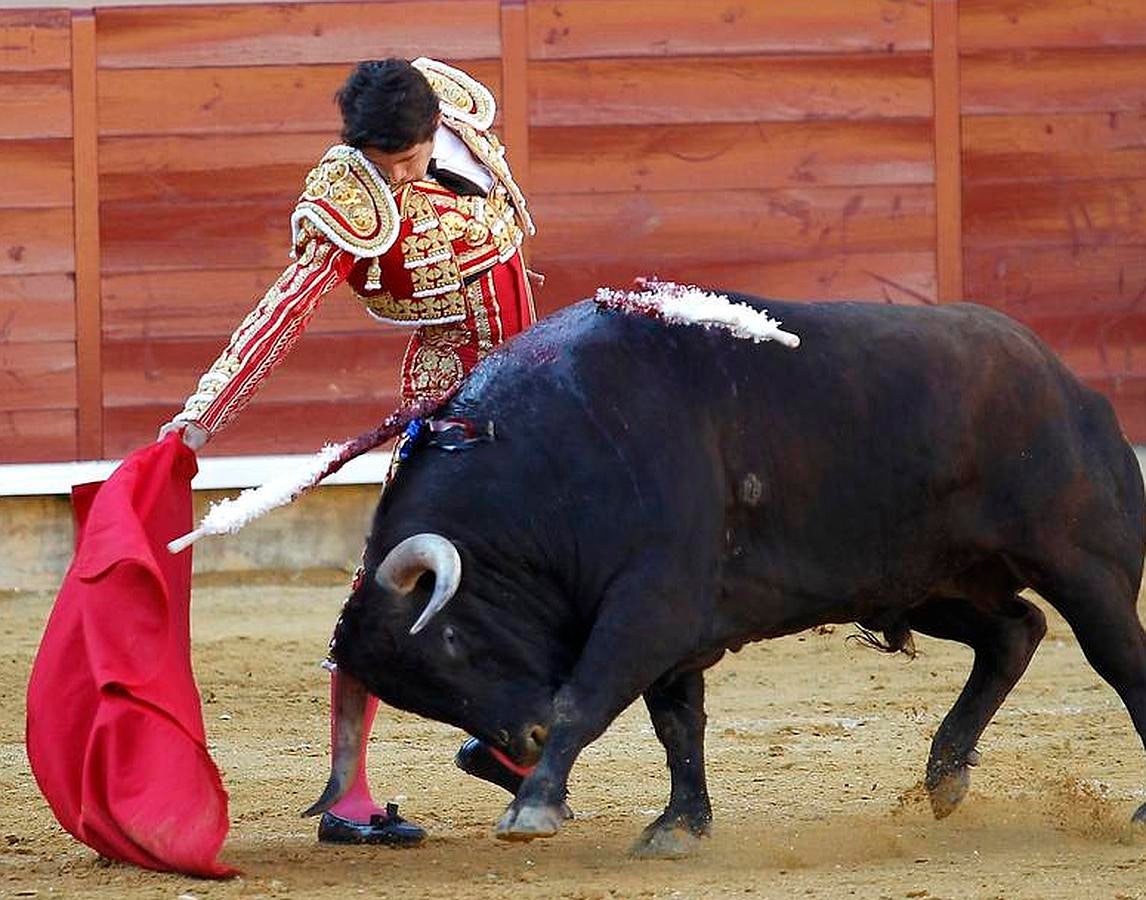 La temporada fantástica de Sebastián Castella, con cumbre en Madrid, foto a foto