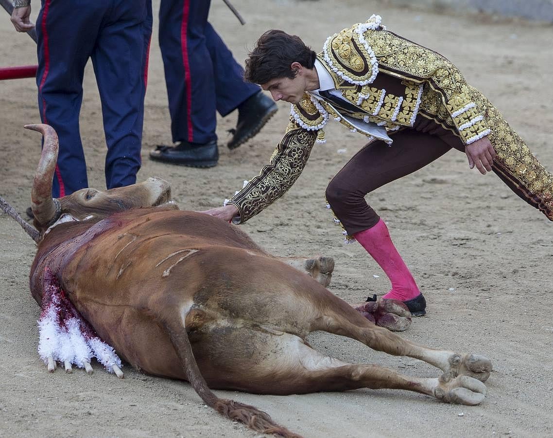 La temporada fantástica de Sebastián Castella, con cumbre en Madrid, foto a foto