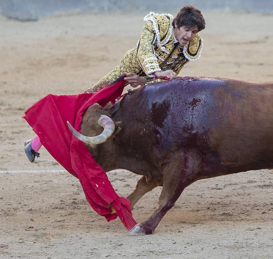 La temporada fantástica de Sebastián Castella, con cumbre en Madrid, foto a foto