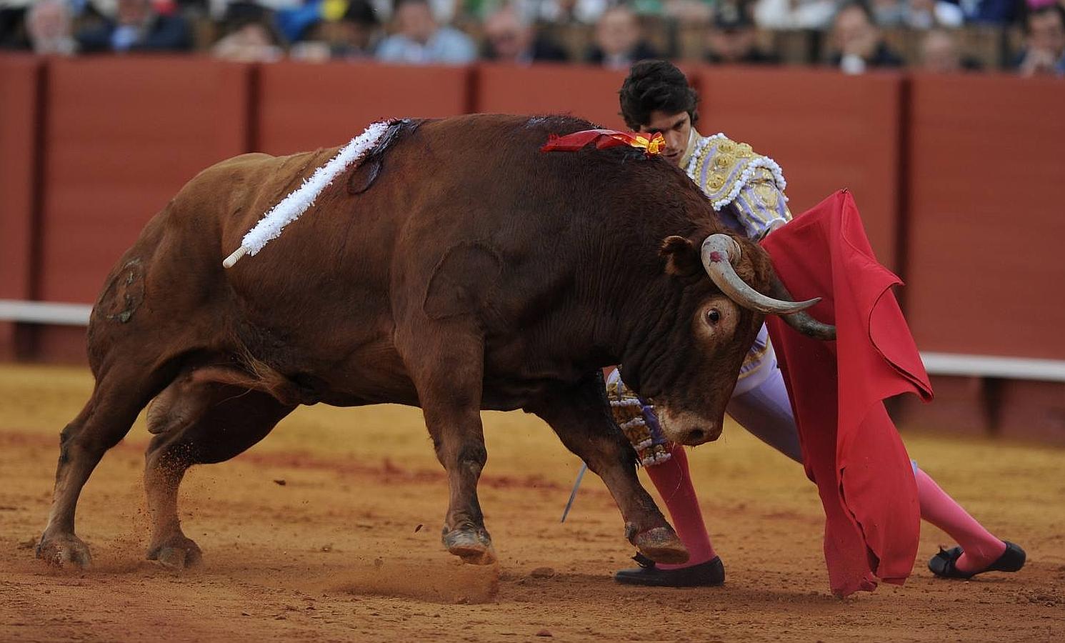 La temporada fantástica de Sebastián Castella, con cumbre en Madrid, foto a foto