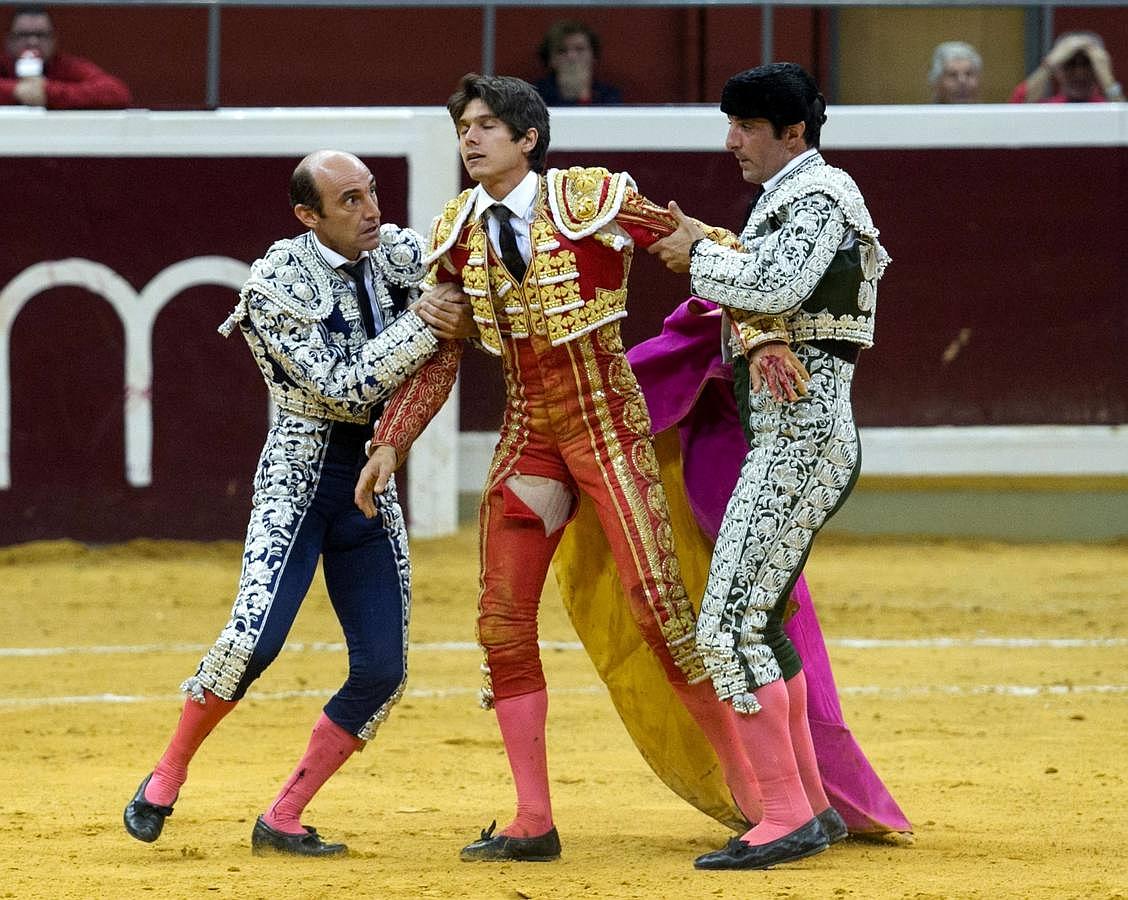 La temporada fantástica de Sebastián Castella, con cumbre en Madrid, foto a foto