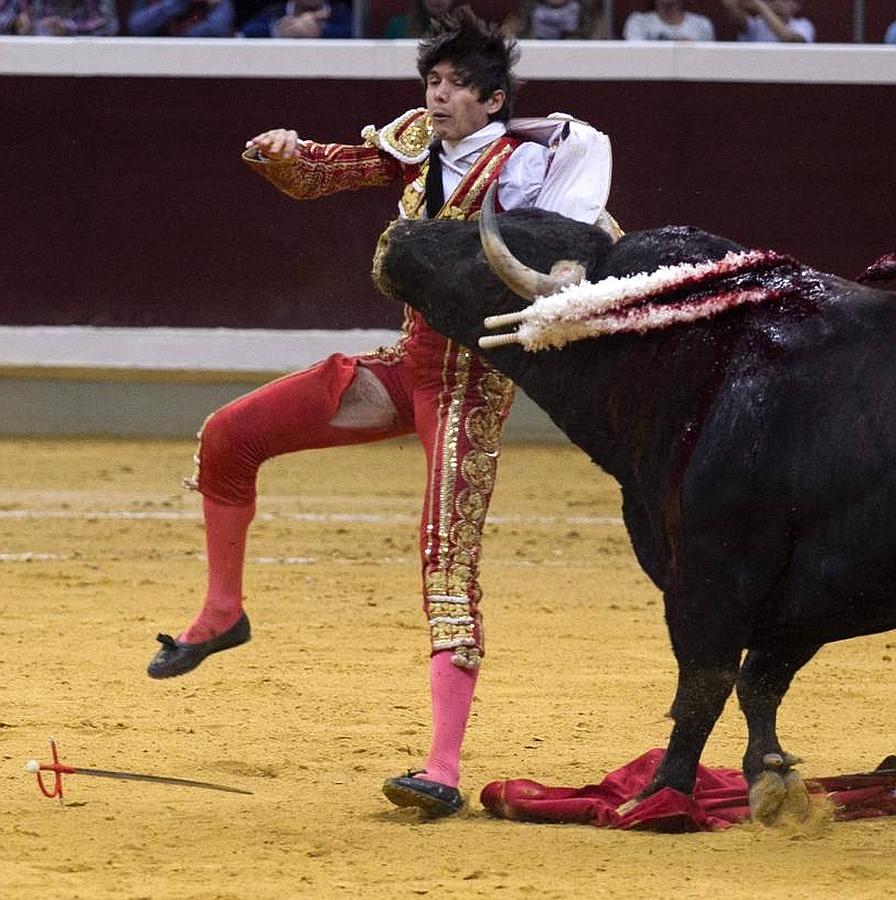 La temporada fantástica de Sebastián Castella, con cumbre en Madrid, foto a foto