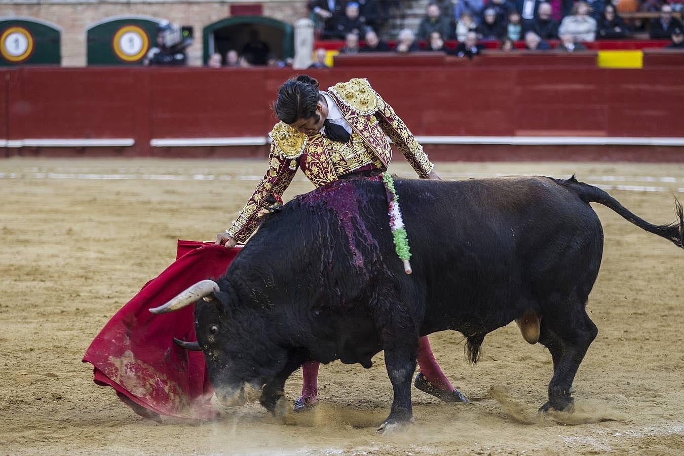 La cosecha 2015 de Morante, foto a foto