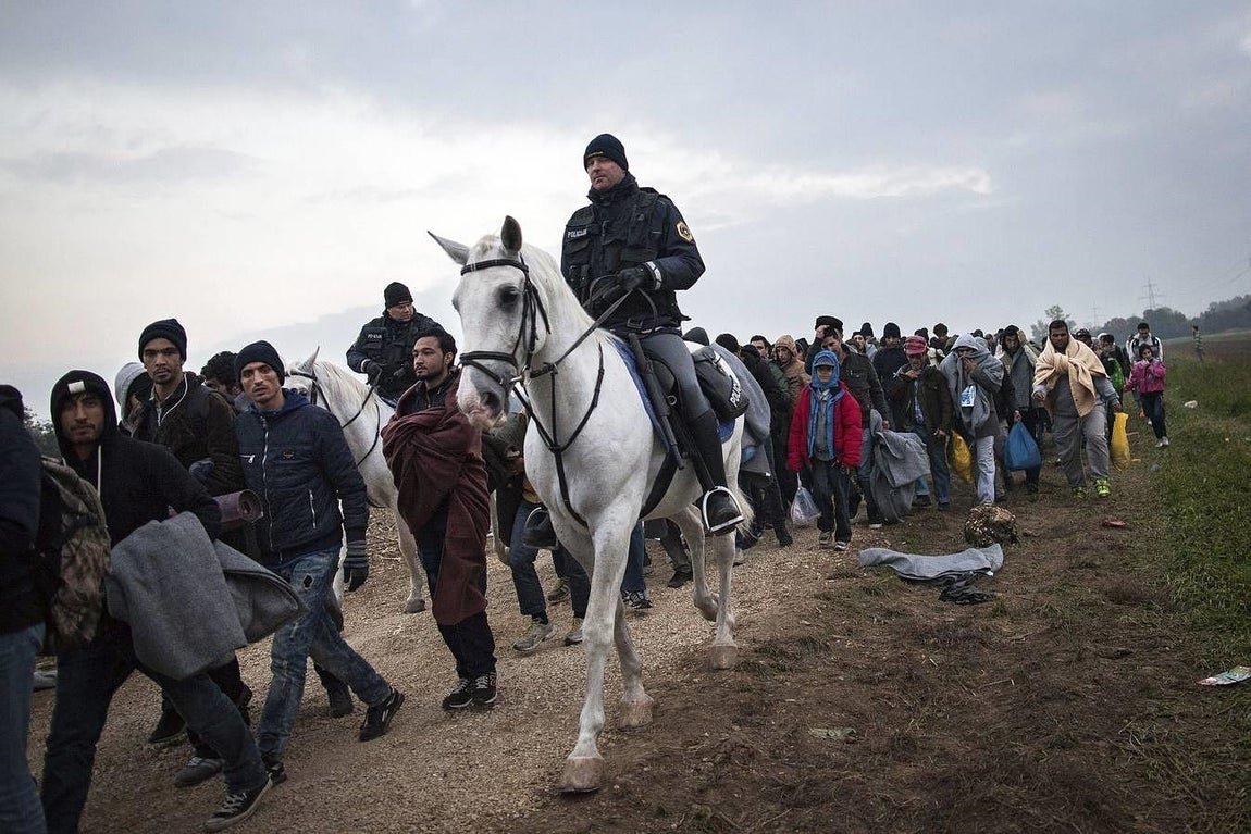 Un policía a caballo esloveno dirige a varios refugiados hacia los autobuses que les trasladarán a un campo de refugiados austriaco, en Rigonice, Eslovenia. 