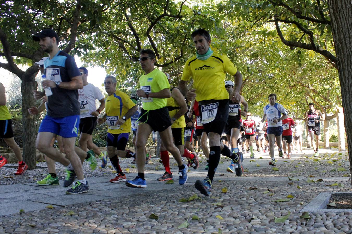 La carrera medio maratón Cigarra Toledana, en imágenes