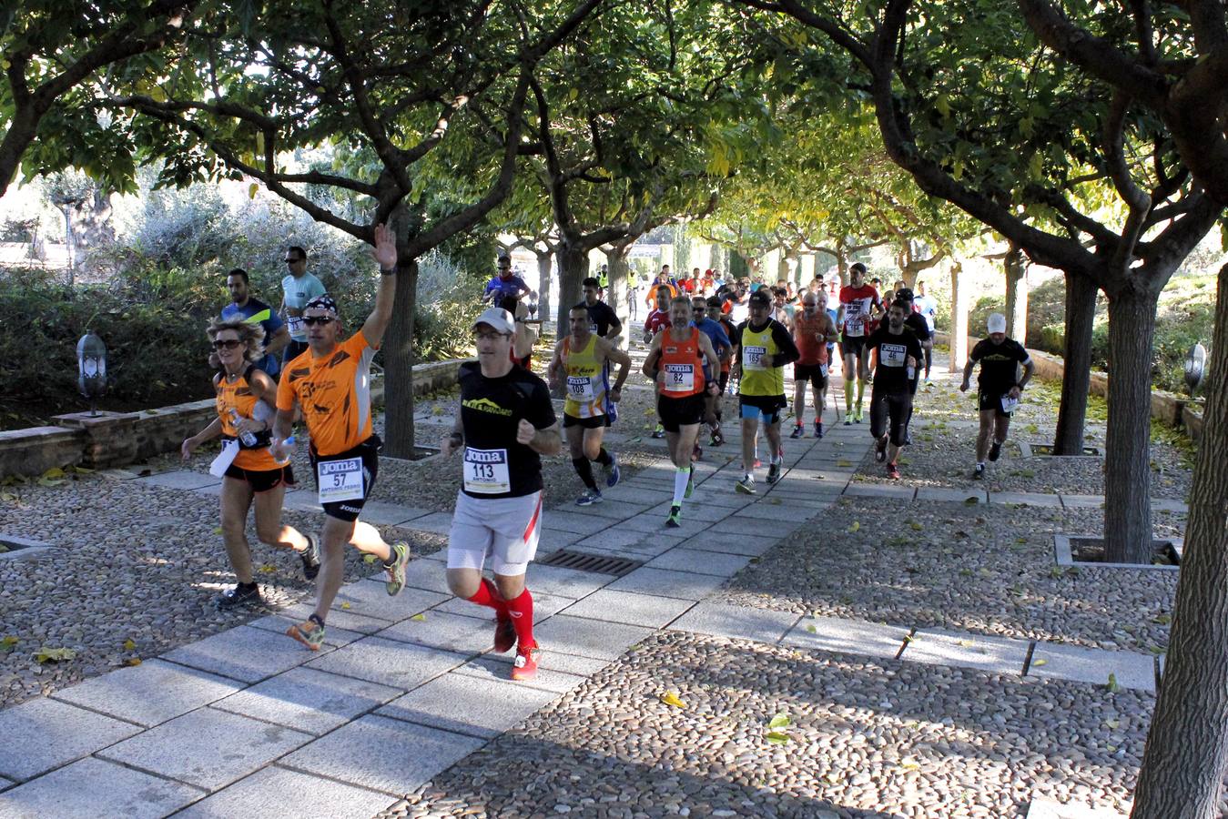 La carrera medio maratón Cigarra Toledana, en imágenes