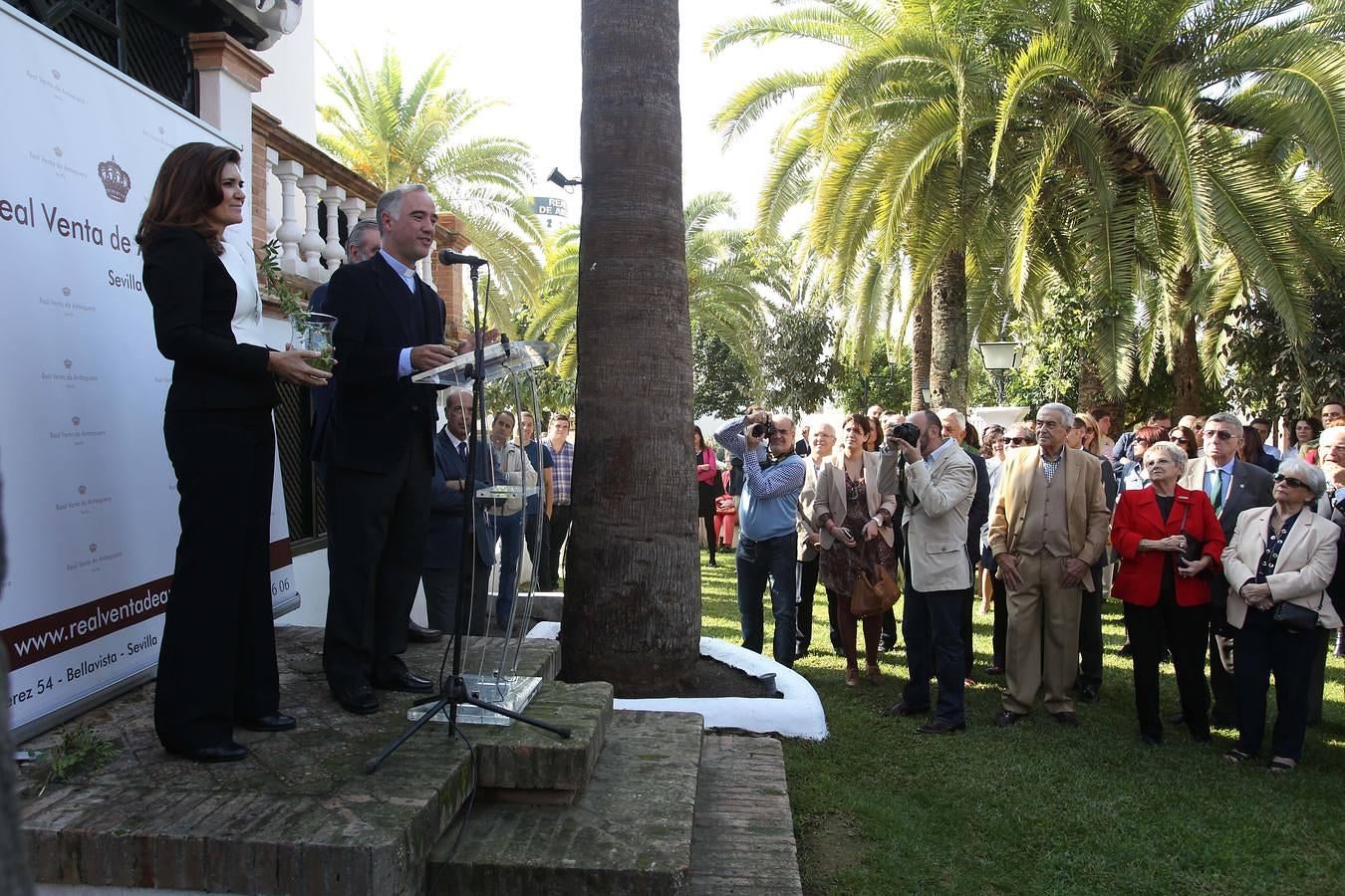 La Real Venta de Antequera abre de nuevo sus puertas