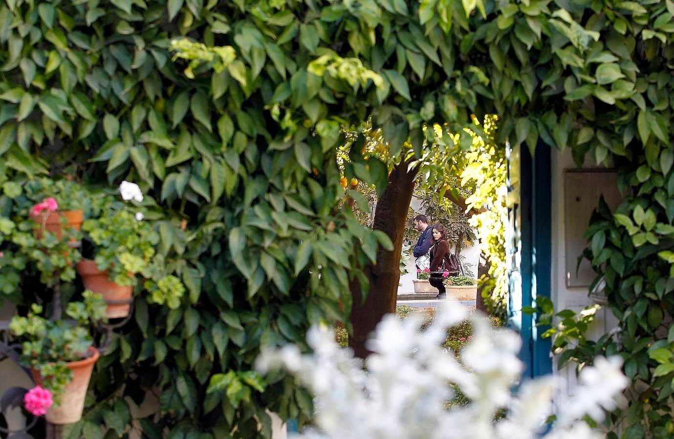 En imágenes, la jornada de puertas abiertas en los museos de Córdoba