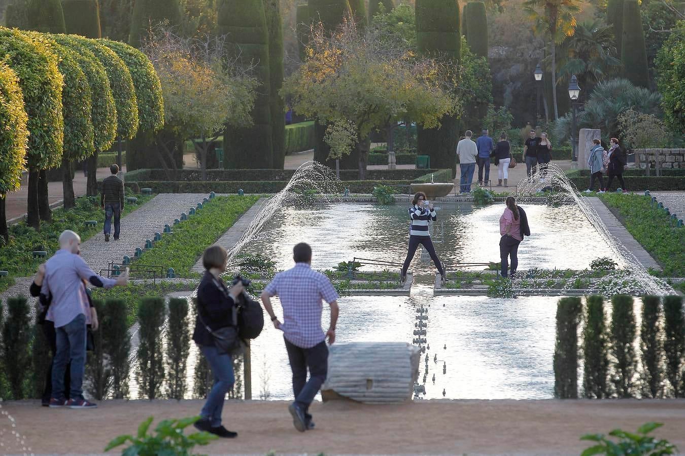 En imágenes, la jornada de puertas abiertas en los museos de Córdoba