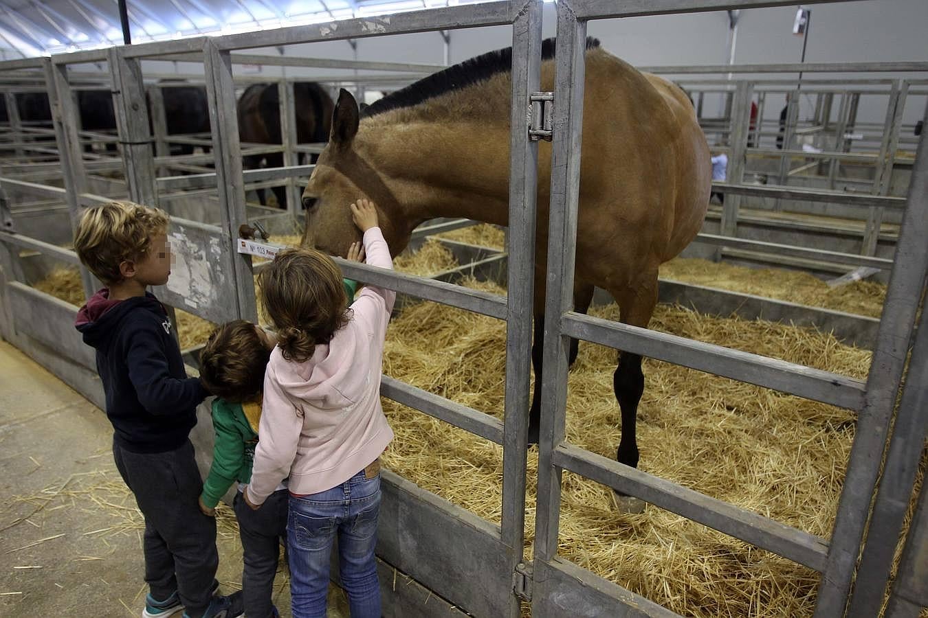 Jornada de negocios y niños en el Sicab