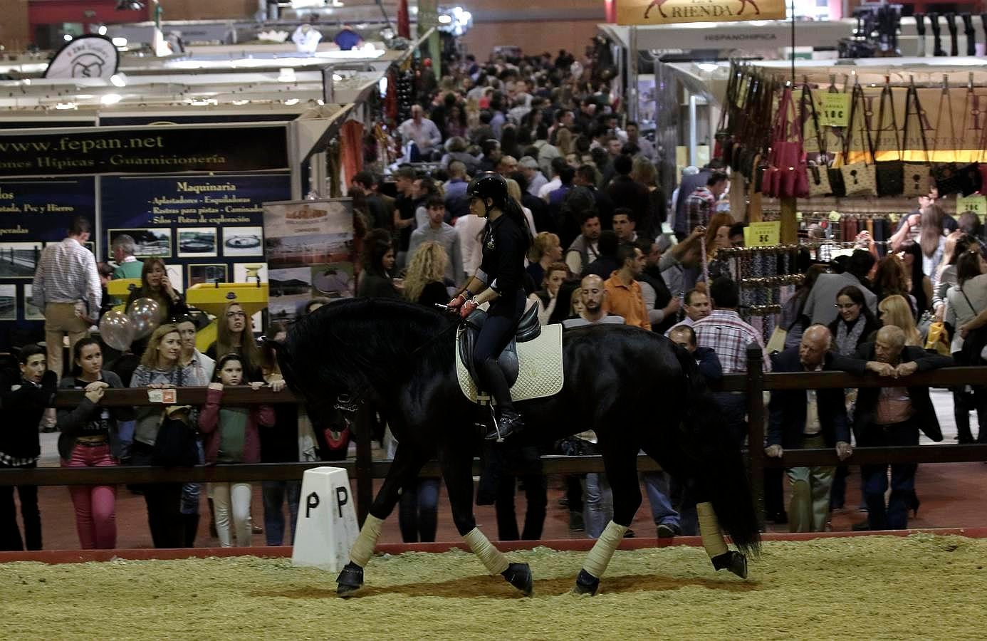 Ambiente y concursos en Sicab