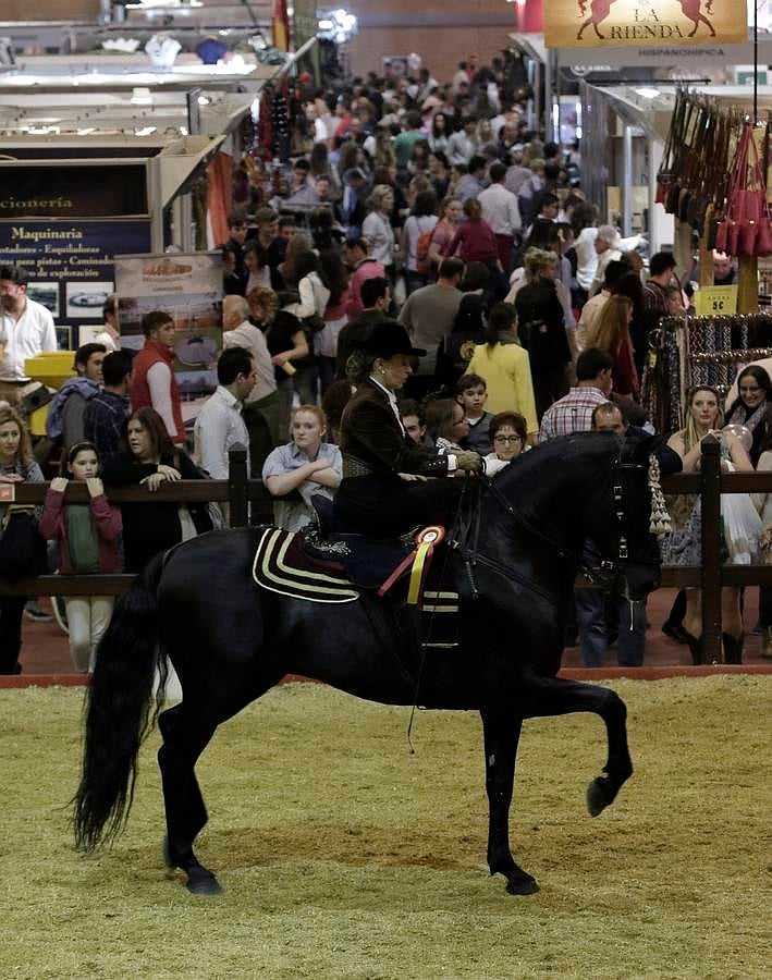 Ambiente y concursos en Sicab