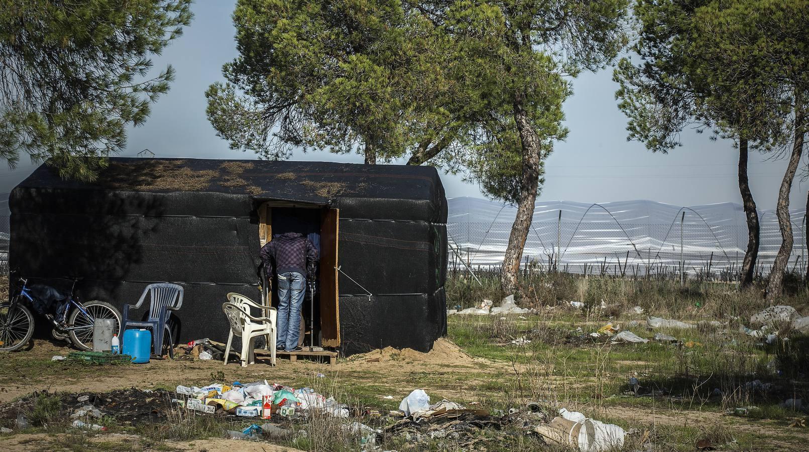 Así se vive en los campamentos de la fresa de Huelva