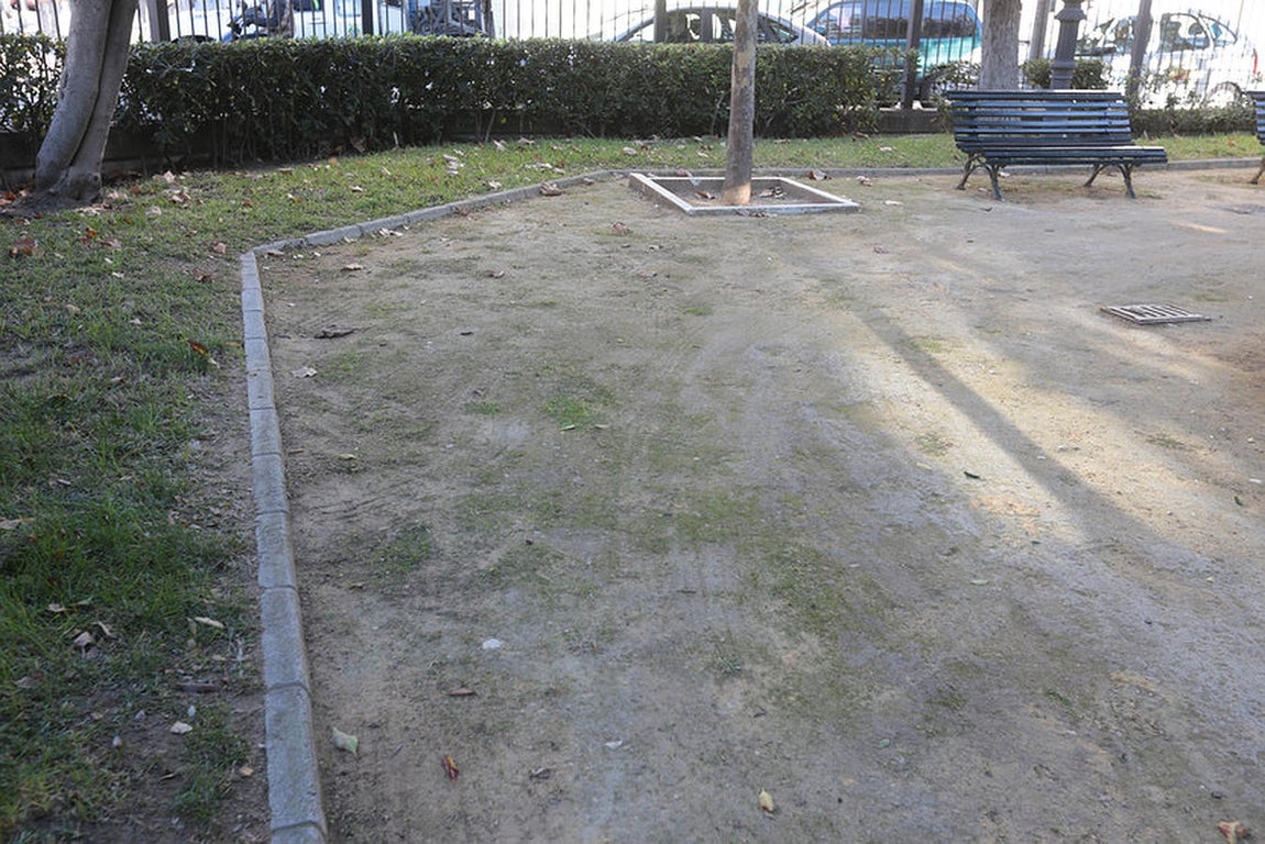 Abandono de los parques y jardines en Cádiz