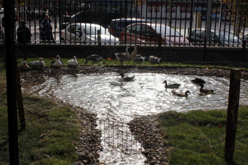 El Belén de la Caja Rural, en imágenes