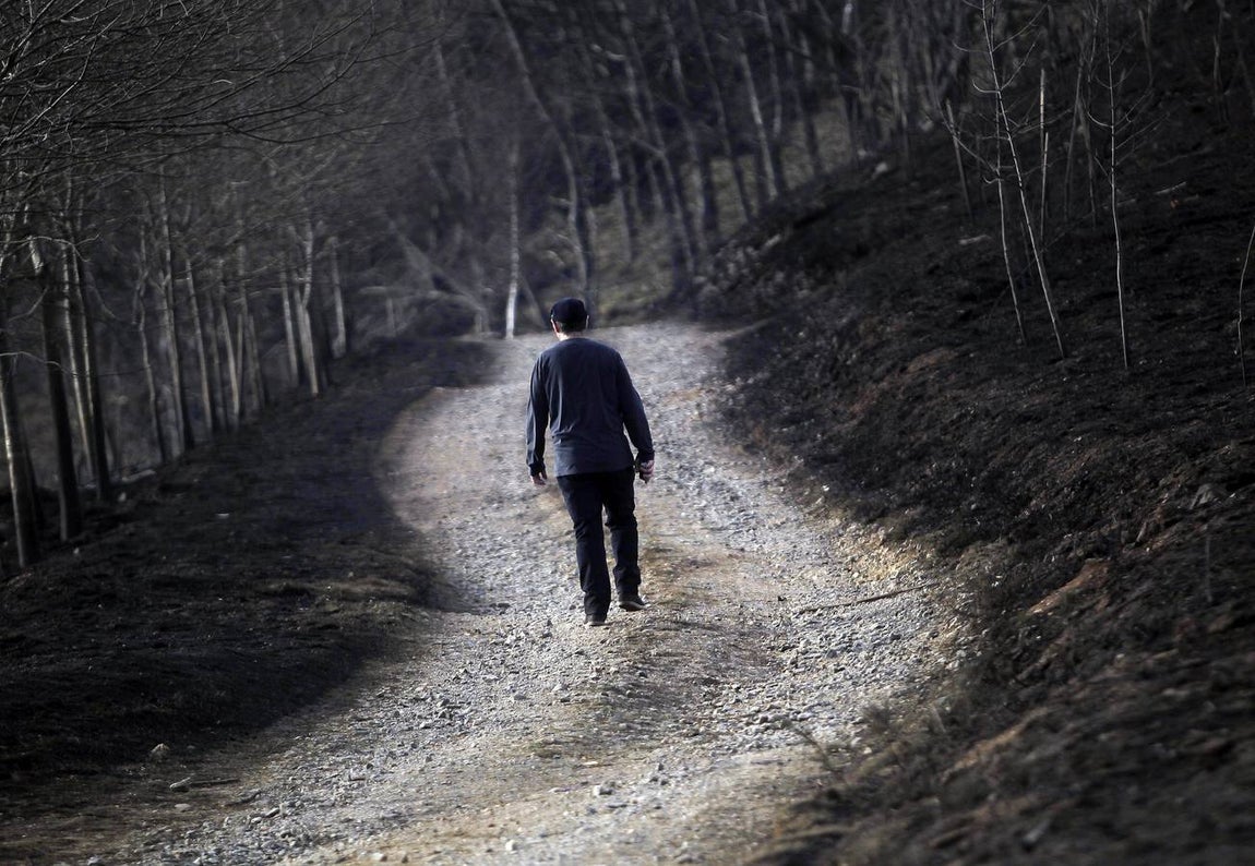 El incendio declarado este sábado en Igantzi tuvo su origen en la caída de un árbol sobre un tendido eléctrico. También ha afectado a zonas arboladas de monte del término de Lesaka. 