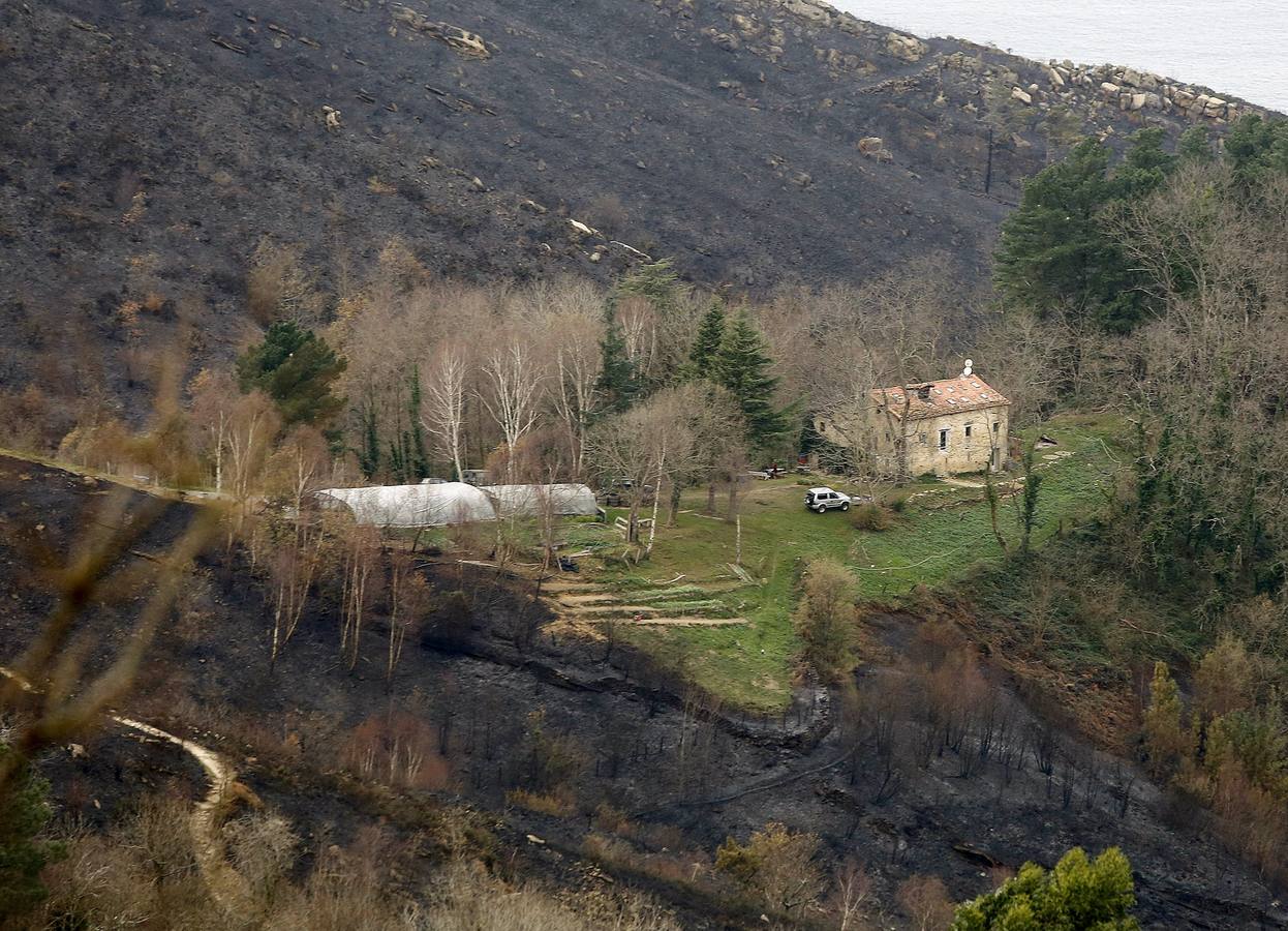 Vista de la zona afectada por el incendio declarado ayer en el monte Igeldo