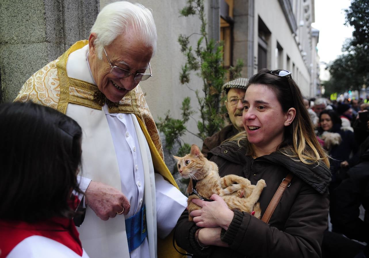 La misa de San Antón, en imágenes