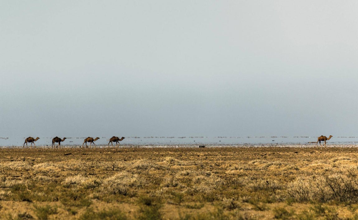 Día Internacional de los Humedales. Para fomentar la participación de los jóvenes, la Convención Ramsar ha organizado un concurso de fotografía desde el 2 de febrero hasta el 2 de marzo en el que puede participar cualquier persona de entre 15 y 24 años de edad
