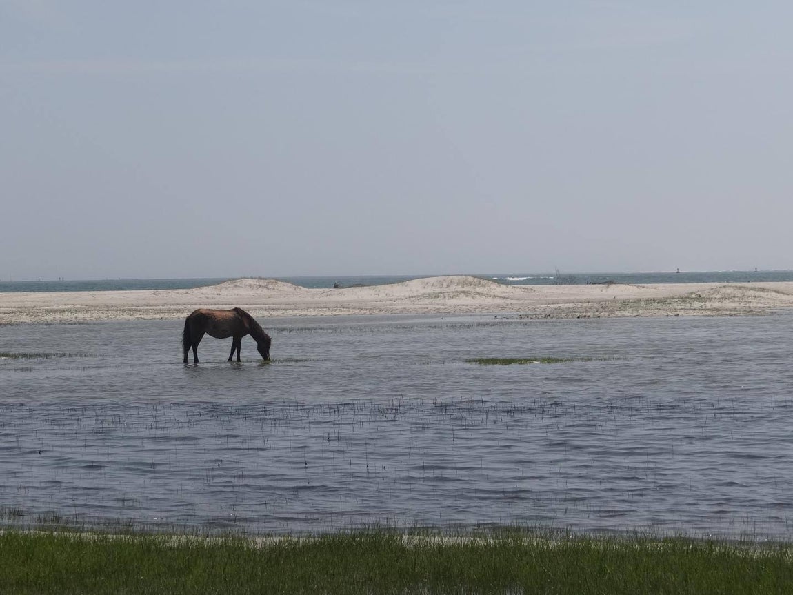 Día Internacional de los Humedales. Para fomentar la participación de los jóvenes, la Convención Ramsar ha organizado un concurso de fotografía desde el 2 de febrero hasta el 2 de marzo en el que puede participar cualquier persona de entre 15 y 24 años de edad