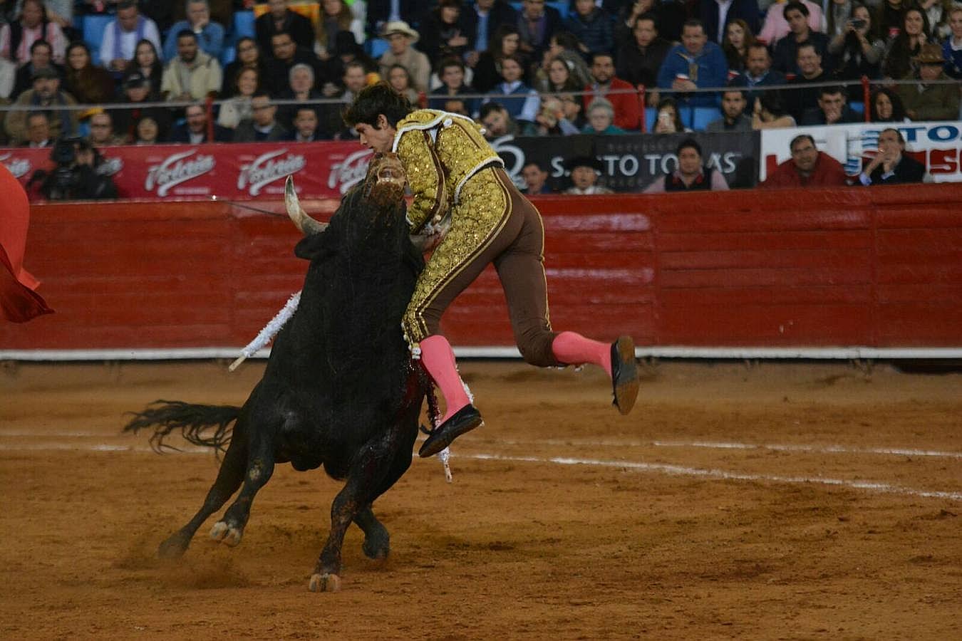 El percance y la gloria de Sebastián Castella en México, foto a foto