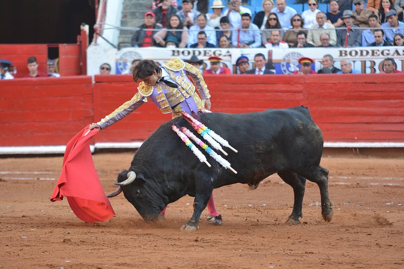 De Roca Rey a Fernando Botero en las plazas americanas, foto a foto