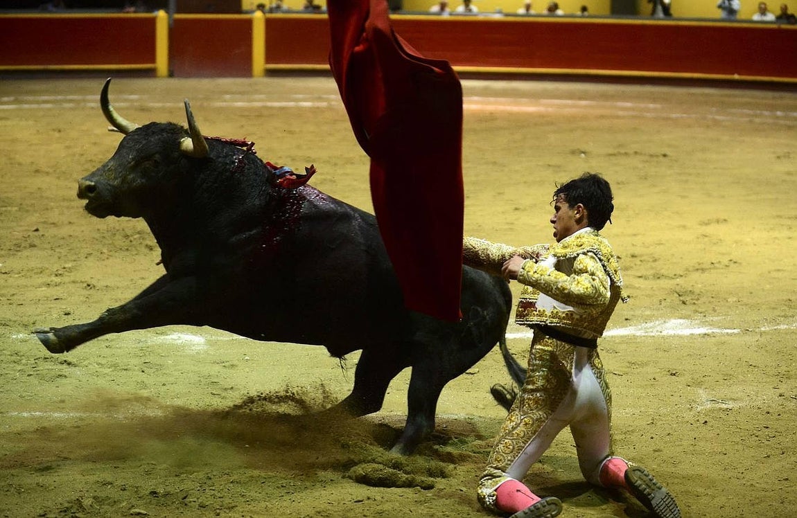 De Roca Rey a Fernando Botero en las plazas americanas, foto a foto
