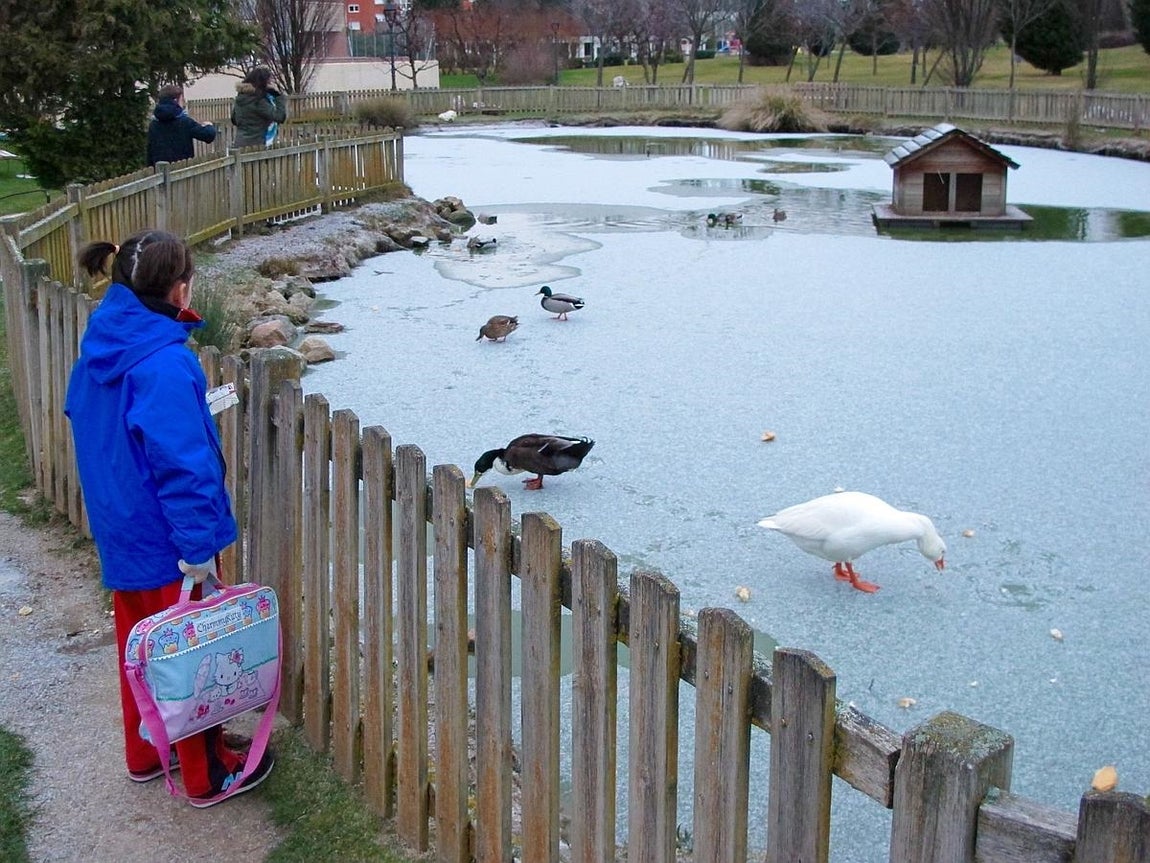 Nieve y hielo en la capital abulense. 