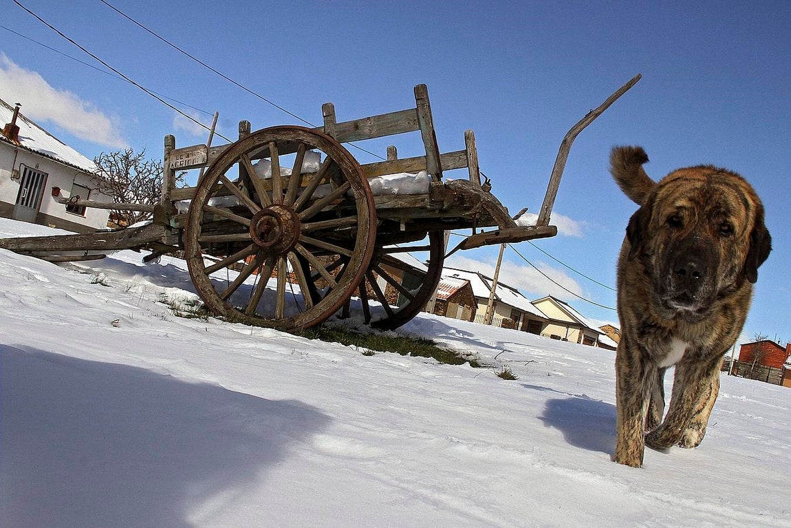 Los valores más bajos se registrarán en las provincias de Ávila, Burgos, Palencia, Salamanca, Segovia y Soria. 