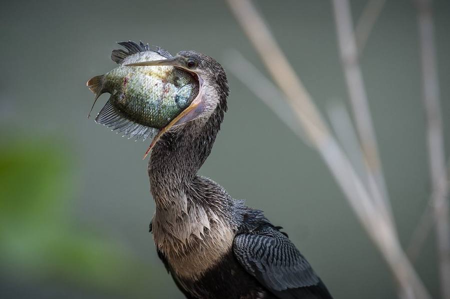 Las mejores fotos de Naturaleza. 