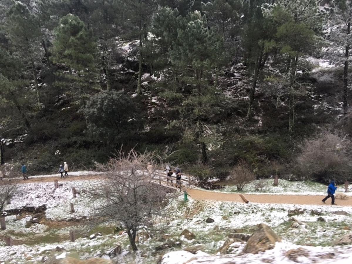 Grazalema y Villaluenga se tiñen de blanco