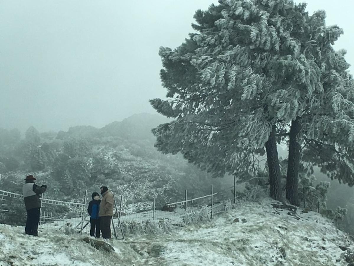 Grazalema y Villaluenga se tiñen de blanco