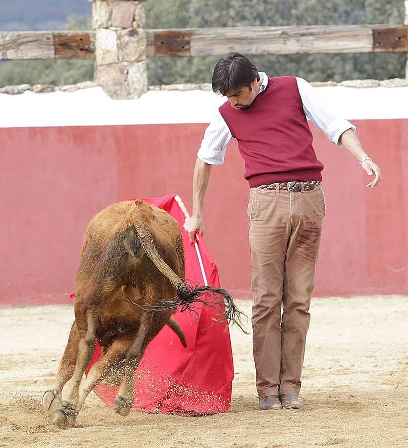 Así se prepara Miguel Ángel Perera para su reaparición en Olivenza